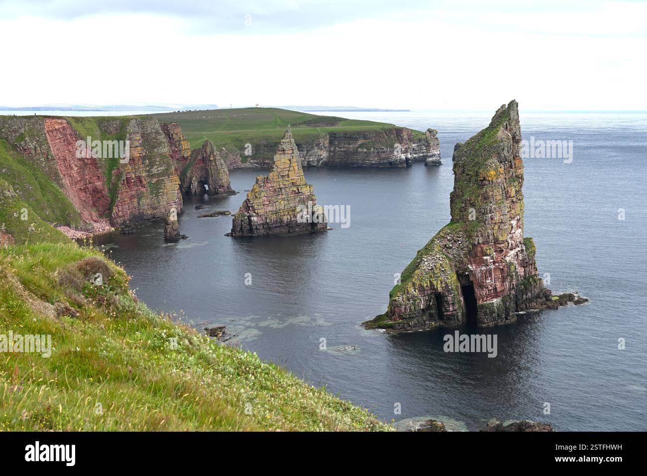 Seestapel in Duncansby Head, Schottland Juli Stockfoto