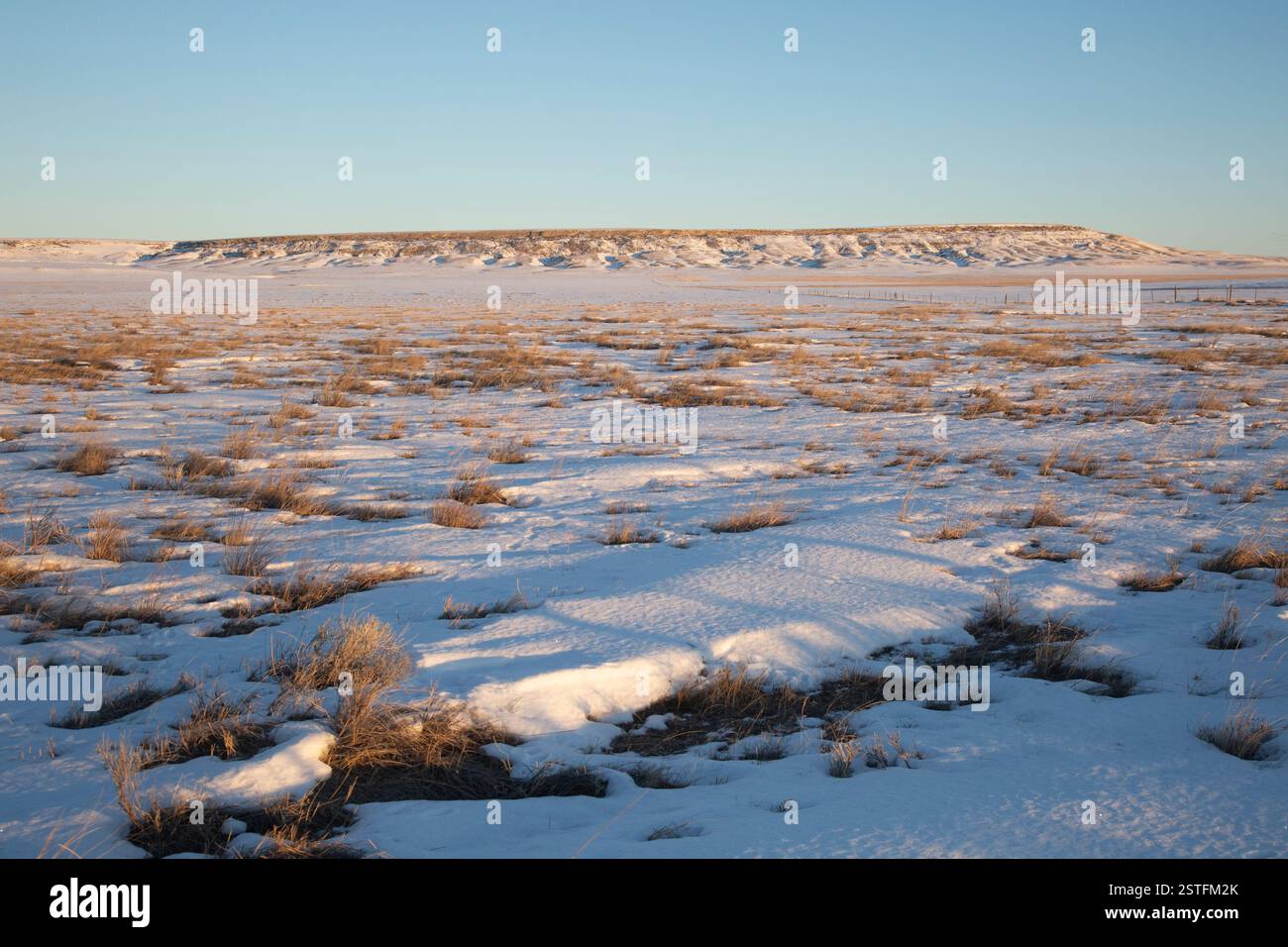 First Peoples Buffalo Jump, im Winter von der anderen Seite des Tals aus gesehen. Bisons, die hier geerntet wurden, haben viele indianische Stämme in der Gegend erhalten. Stockfoto