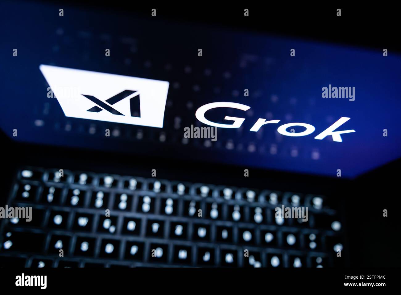 Rottweil, Deutschland. Februar 2025. Das Logo des KI-Chatbots Grok, der von der Firma XAI entwickelt und 2023 von Elon Musk gegründet wurde, ist auf dem Display eines Laptops zu sehen. Quelle: Silas Stein/dpa/Alamy Live News Stockfoto