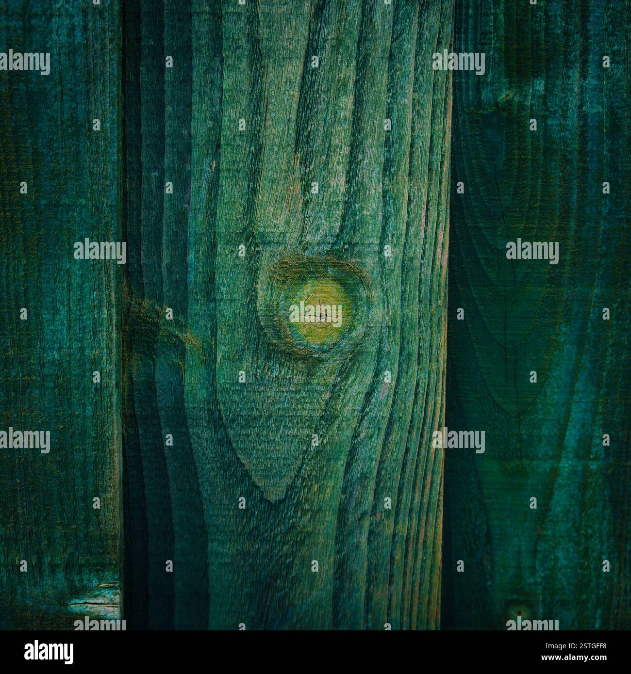 Nahaufnahme eines grün lackierten Zauns mit Holzmaserung und den Mustern im Holz Stockfoto