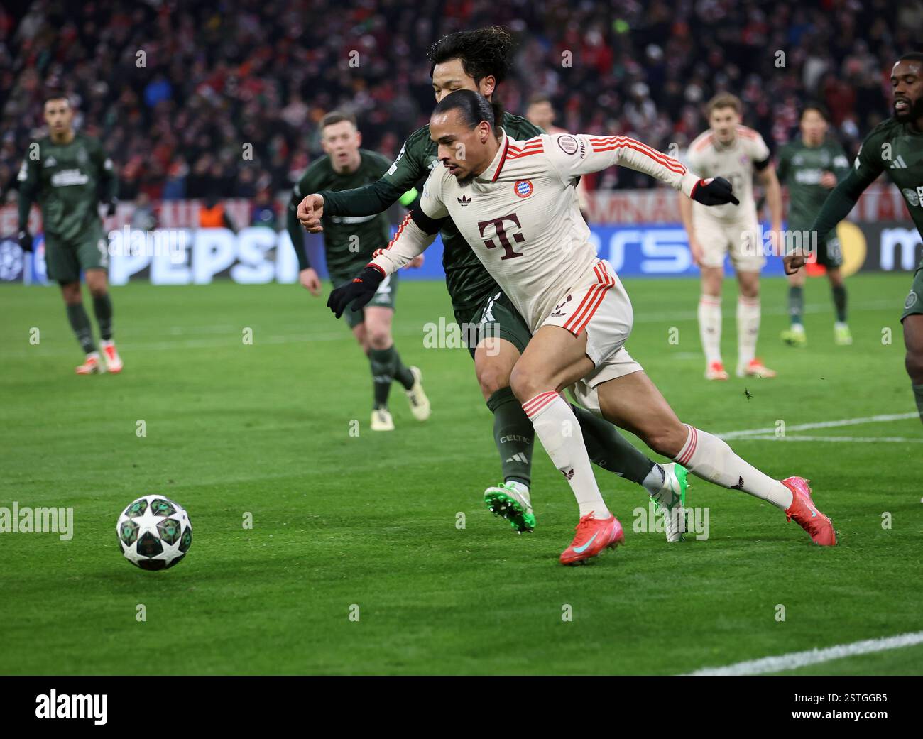 Fussball, Herren, Champions League, Saison 2024/2025, FC Bayern München - Celtic Glasgow, Allianz Arena, Play-off Rückspiel Leroy Sane (FC Bayern München) im Kampf um den Ball Stockfoto