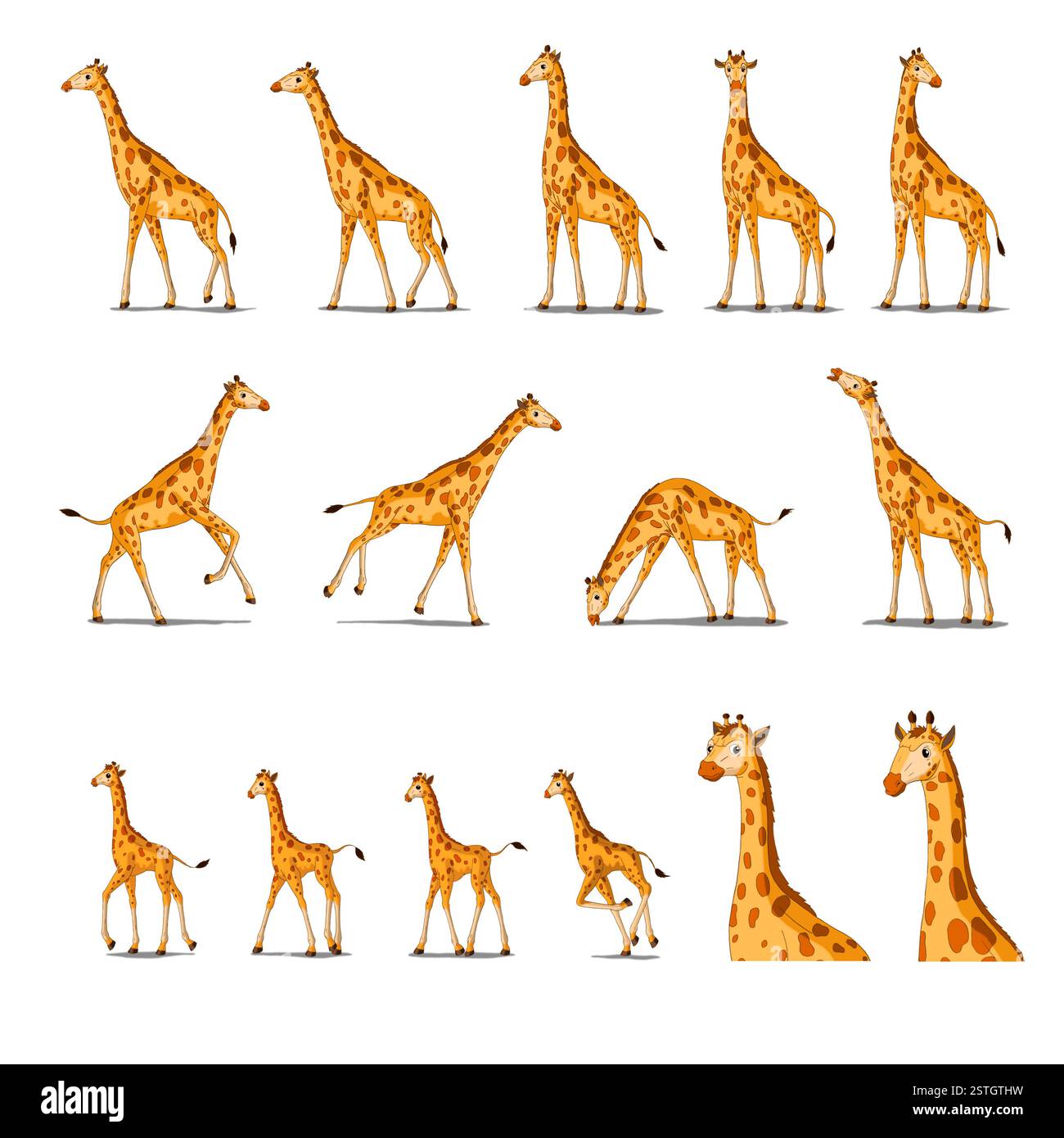 Afrikanische Giraffe isoliert auf weißem Hintergrund Stockfoto