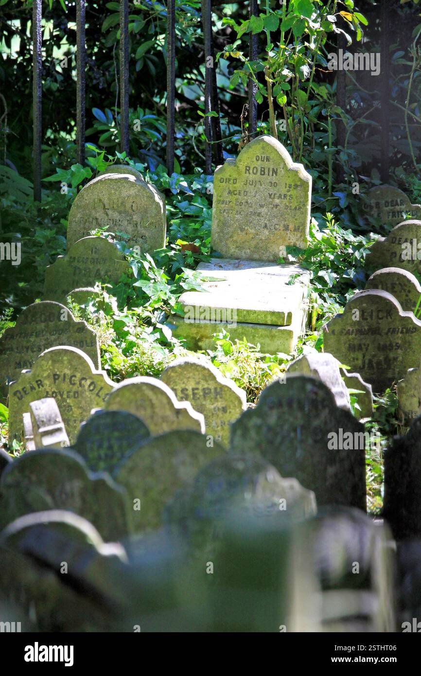 Haustiergrab Stockfoto