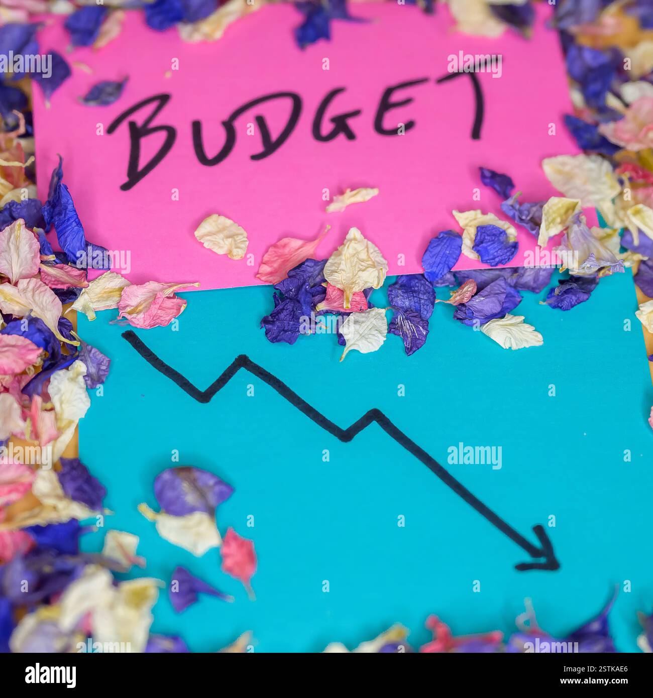 Eine lebendige Komposition mit einem Budget-Schild, gepaart mit einer Grafik nach unten, umgeben von farbenfrohen dekorativen Blütenblättern Stockfoto