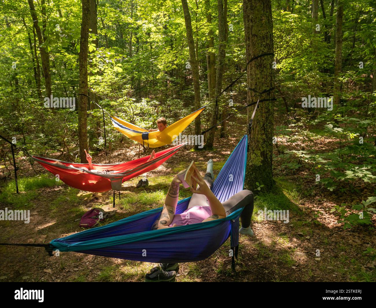 Die Leute entspannen sich in Hängematten im Wald Stockfoto