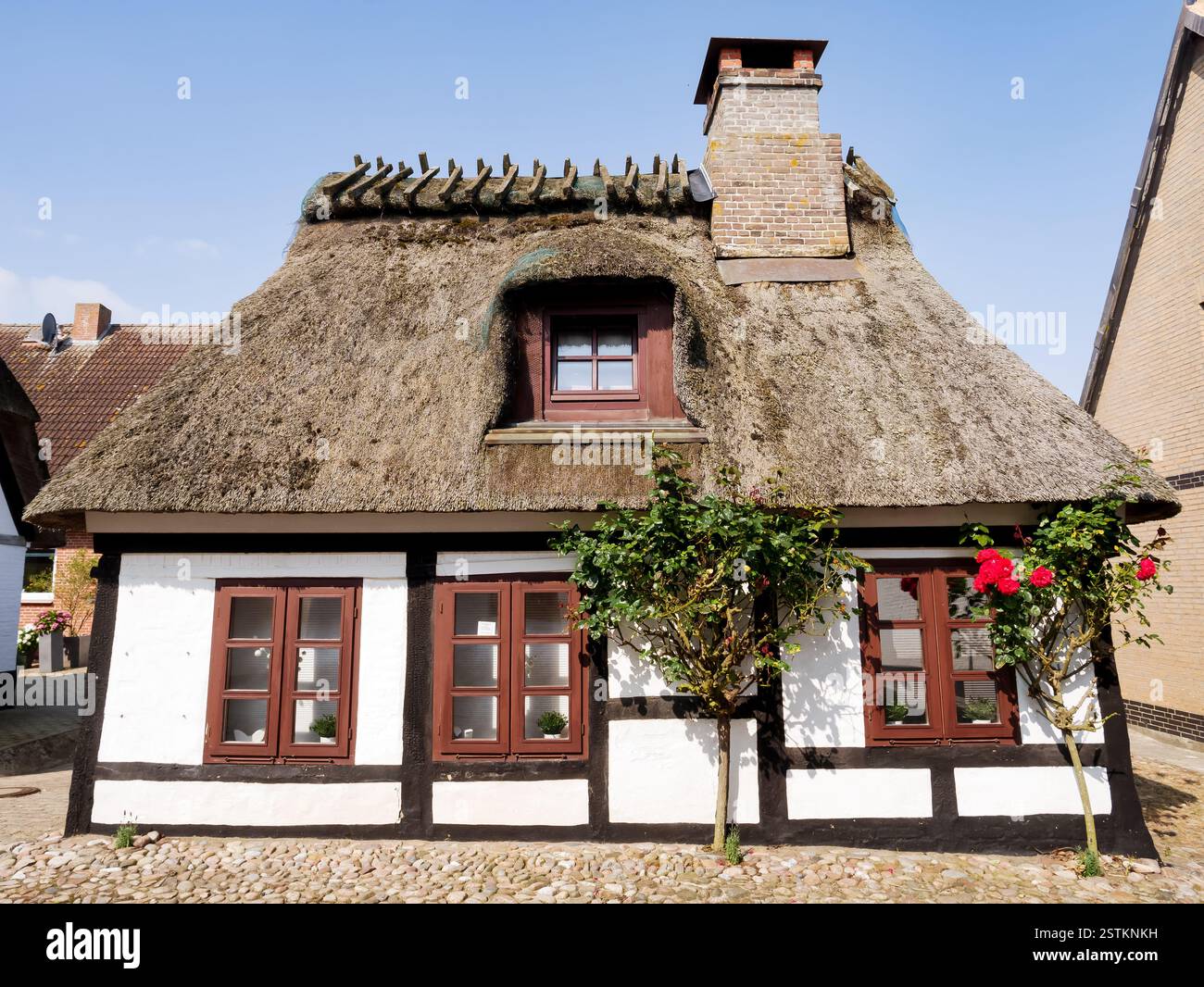 Vor dem Fachwerkhaus mit Strohdach in der Altstadt von Maasholm, Schleswig-Holstein, Deutschland Stockfoto