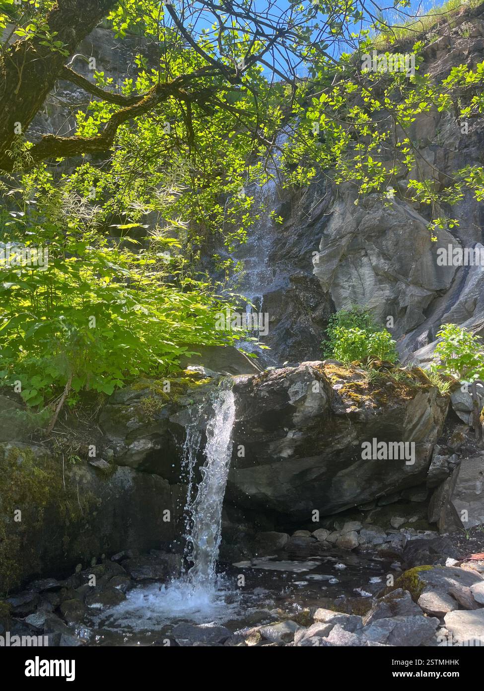 Natur in Österreich - Smartphone-aufgenommenes Stockfoto
