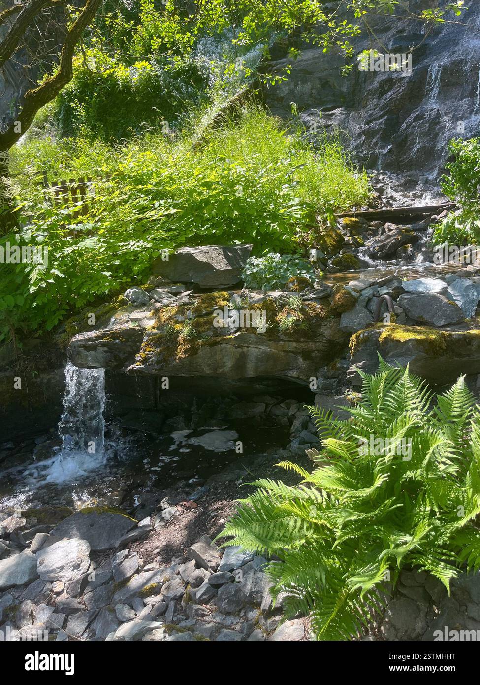 Natur in Österreich - Smartphone-aufgenommenes Stockfoto