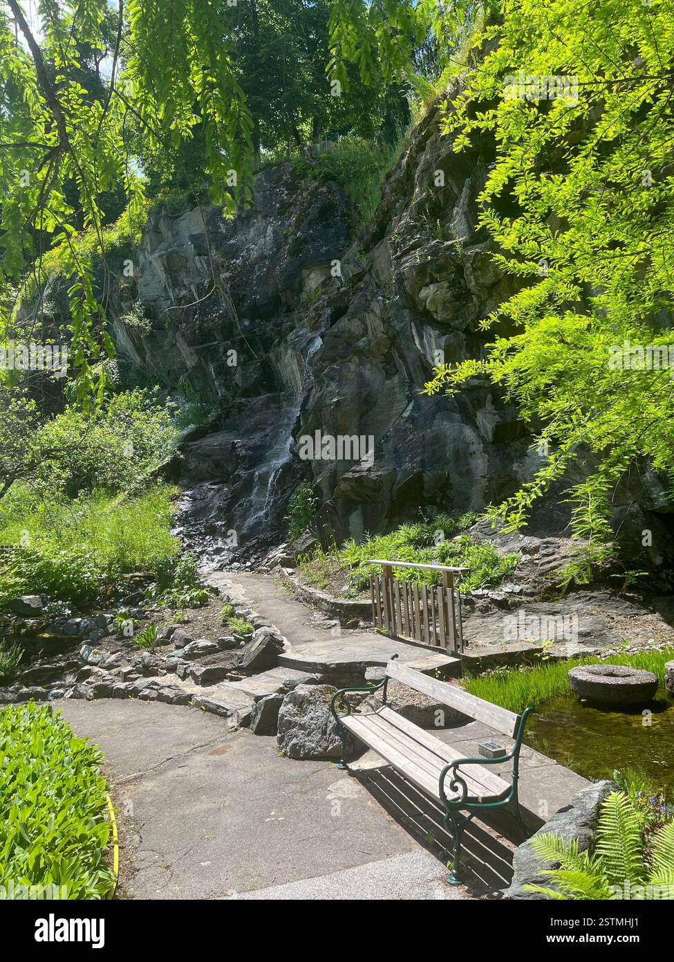 Natur in Österreich - Smartphone-aufgenommenes Stockfoto