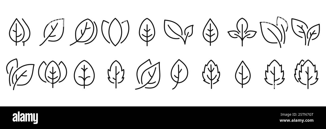 Eine Kollektion eleganter und moderner Blattkonturen. Perfekt für umweltfreundliche Designs, Naturbranding und botanische Projekte. Stock Vektor