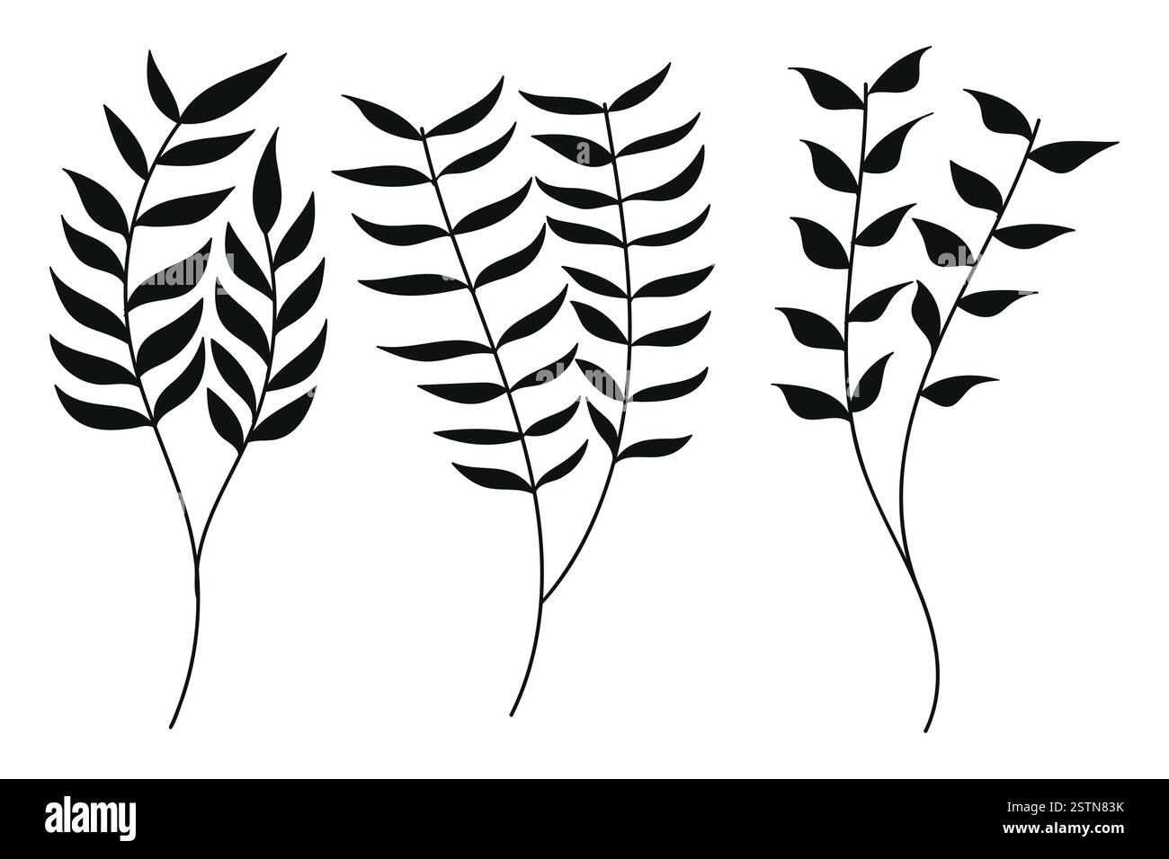 Silhouette Botanisches Set. Die Bilder sind minimalistisch und zeigen einfache Linienzeichnungen von Pflanzen mit Blättern und Stämmen. Vektorabbildung Stock Vektor