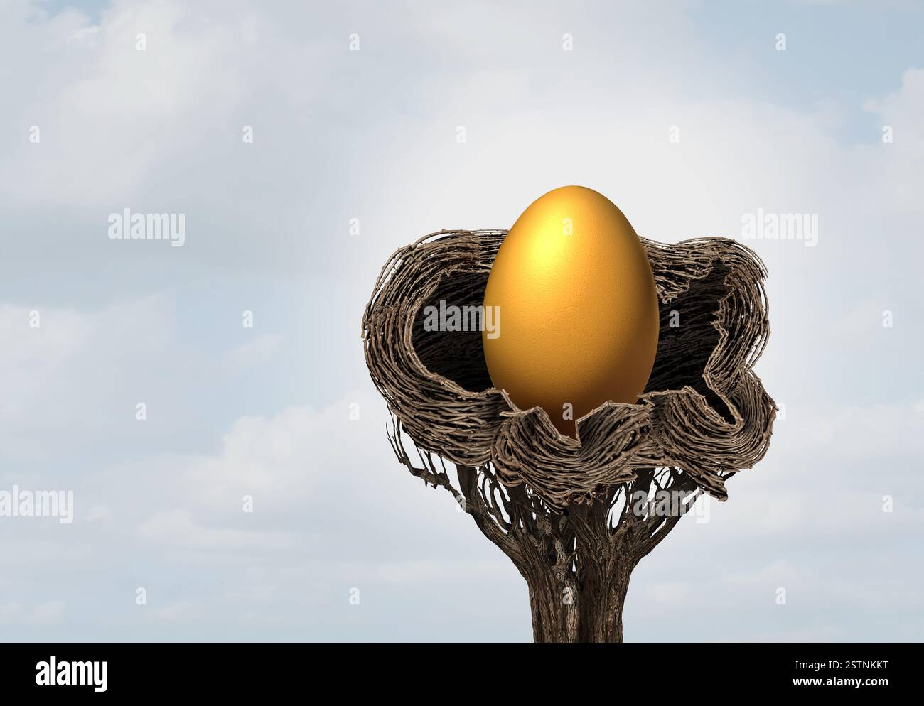 Amerikanischer Wohlstand und Wohlstand als goldenes Ei, das die US-Wirtschaft oder den us-Haushalt in einem Nest als Geschäftssymbol für Geschäftserfolg darstellt a Stockfoto
