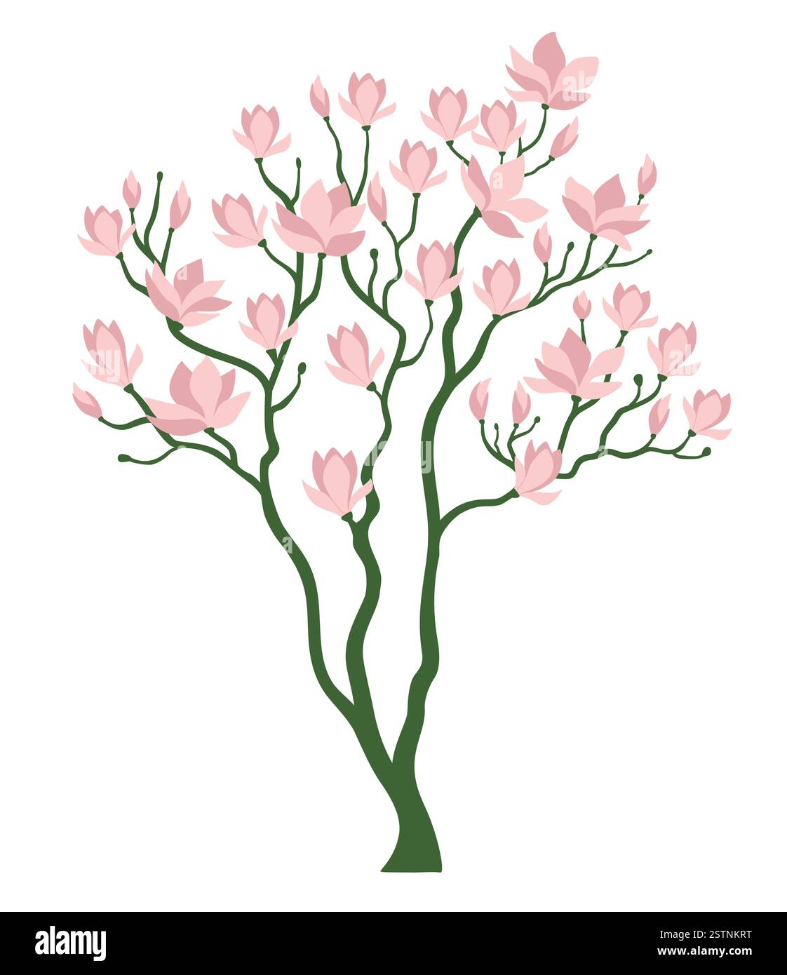 Blühender Magnolienbaum. Frühlingsbaum mit rosa Blüten. Isolierte Vektorillustration auf weißem Hintergrund. Stock Vektor