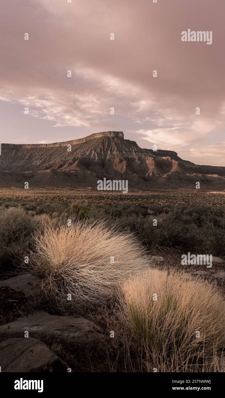 Desert Mesa und Brush in der Wüste Utah Stockfoto