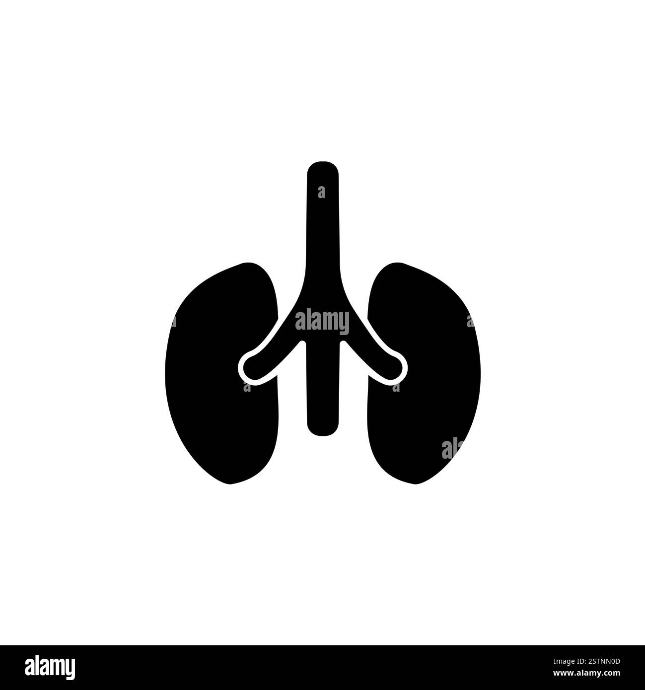 Nieren, menschliches Harnorgan, Anatomie Solid Flat Vector Symbol isoliert auf weißem Hintergrund. Stock Vektor