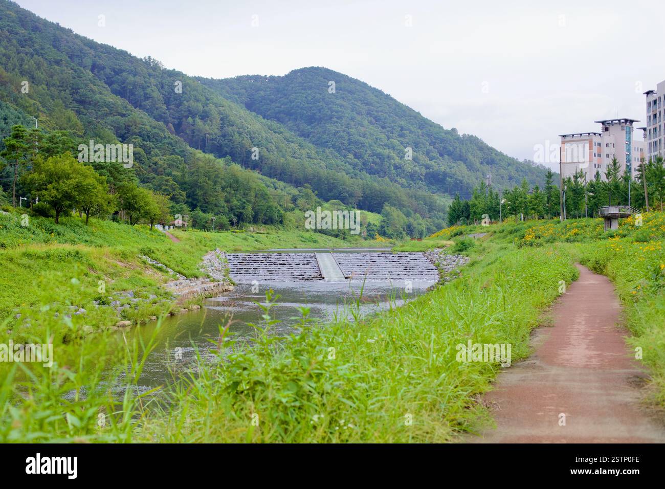 Goesan County, Südkorea - 10. September 2020: Seonghwang Stream fließt sanft durch die Landschaft außerhalb von Goesan, wobei ein kleines Wehr reguliert wird Stockfoto