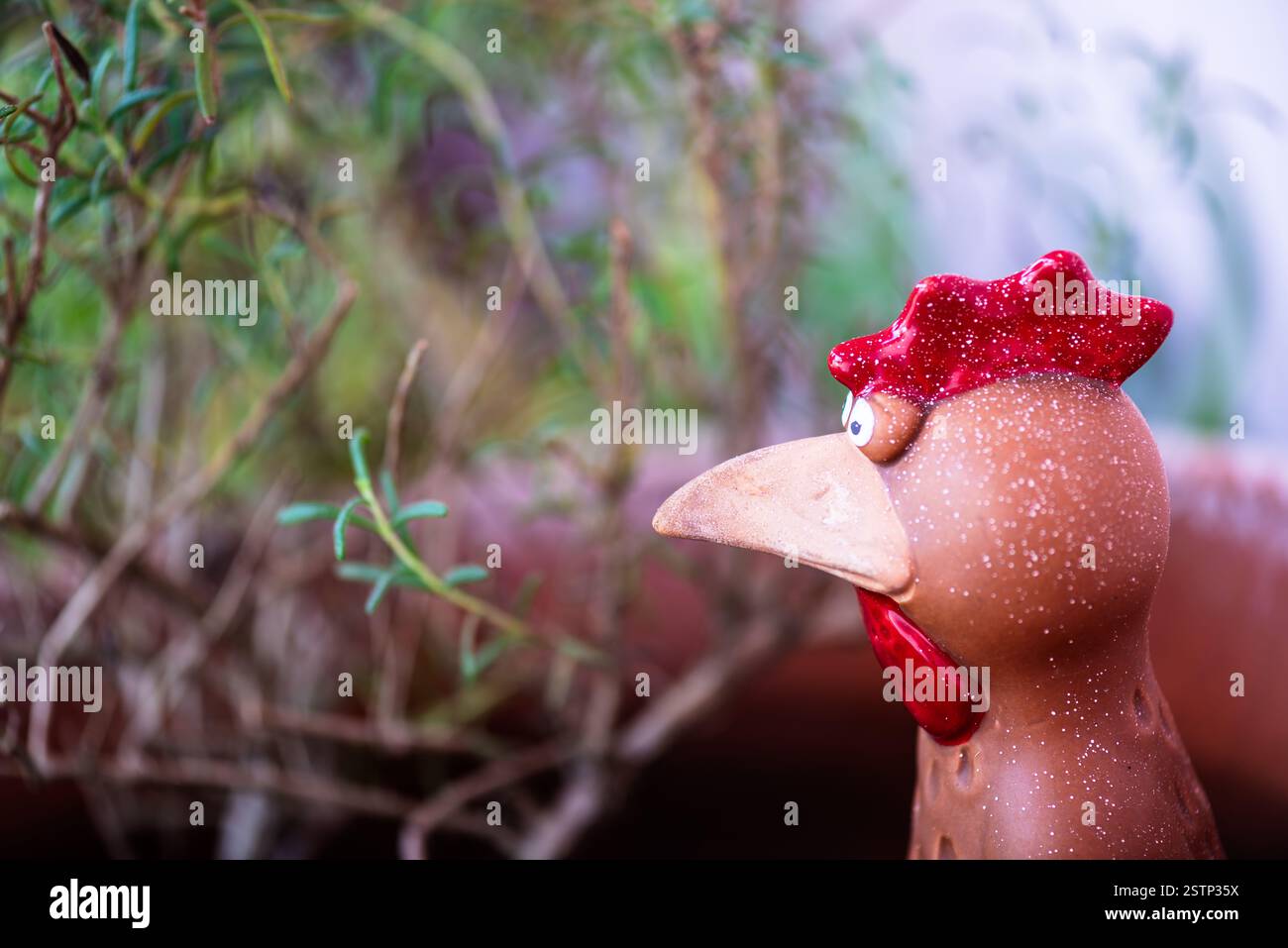 Ein komisches Profil eines keramischen Hahnenkopfes und Schultern, die einen Zweig Rosmarin betrachten. Stockfoto