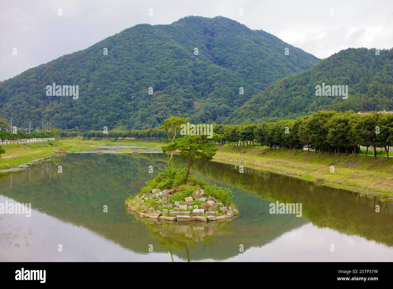 Goesan County, Südkorea - 10. September 2020: Eine kleine, von Bäumen bedeckte Insel liegt im stillen Wasser des Seonghwang Stream nahe Goesan, mit dem Su Stockfoto