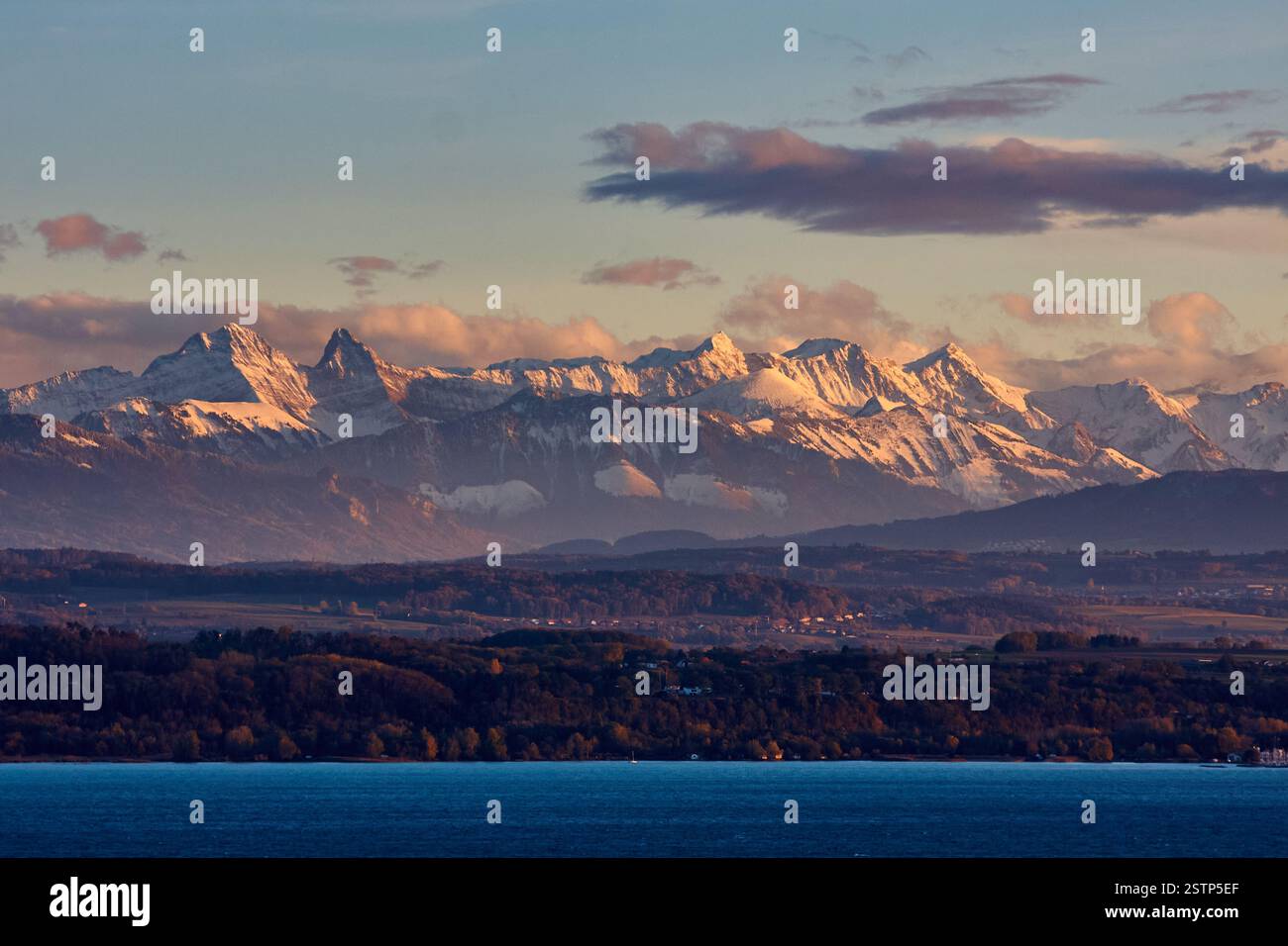 Blick von der Stadt Neuchatel auf den Neuchateler See und die wunderschöne Natur und die Berge um ihn herum. Stockfoto
