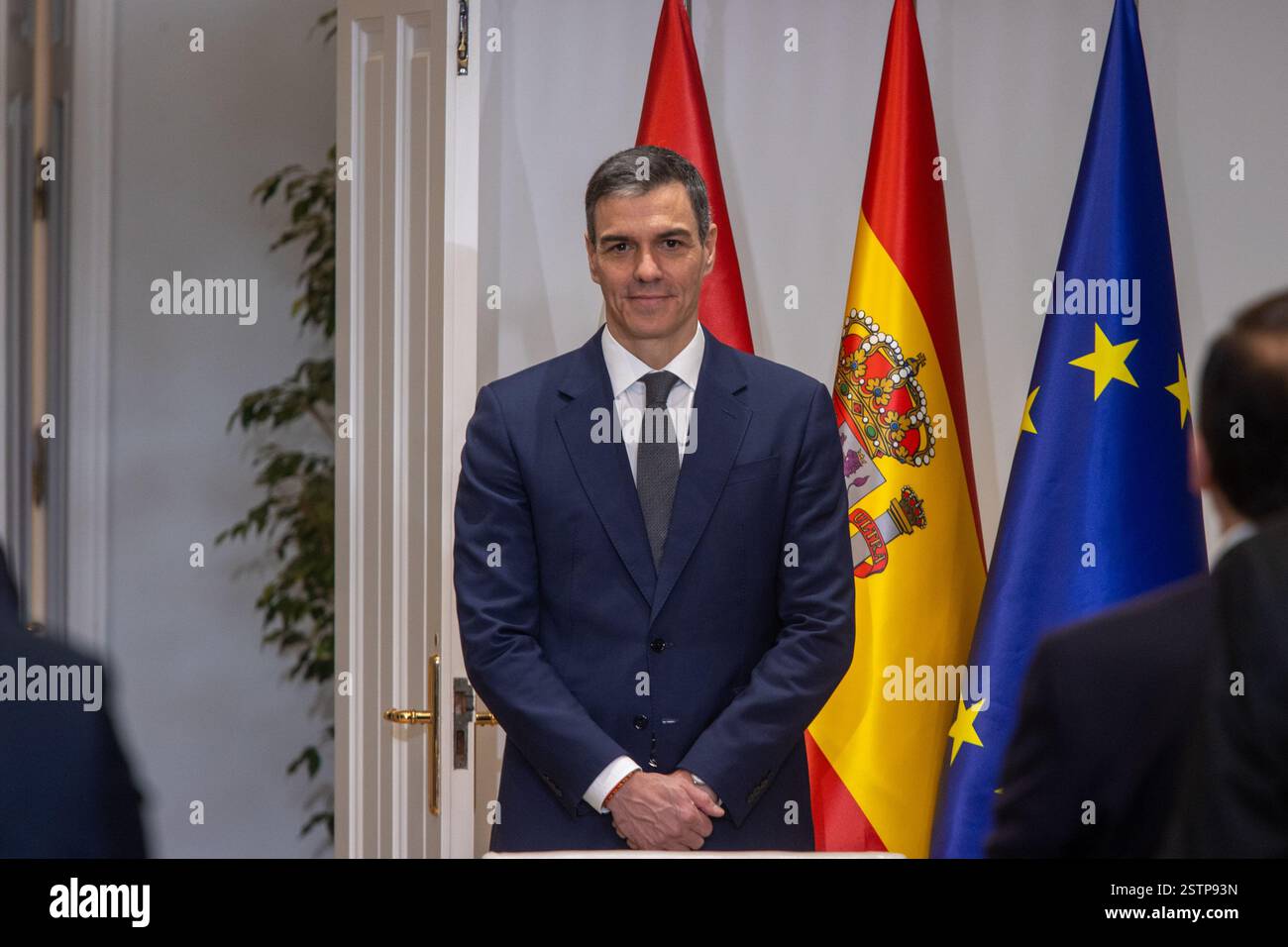 Offizielles Treffen, Palast Moncloa, Madrid, Präsident der spanischen Regierung, Pedro Sánchez, Präsident Ägyptens, Abdelfattah al-Sisi. Stockfoto