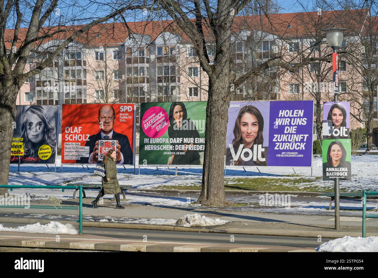 Wahlplakate, Bundestagswahl 2025, Potsdam, Brandenburg, Deutschland Stockfoto
