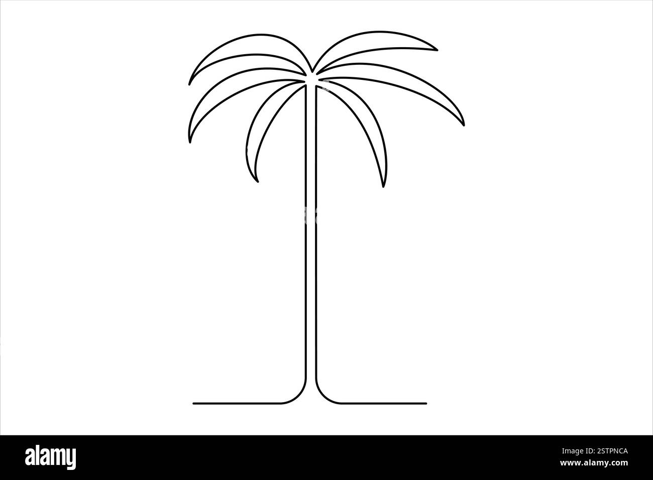 Durchgehende einzeilige Palmenzeichnung isoliert auf weißer Hintergrundvektorillustration Stock Vektor