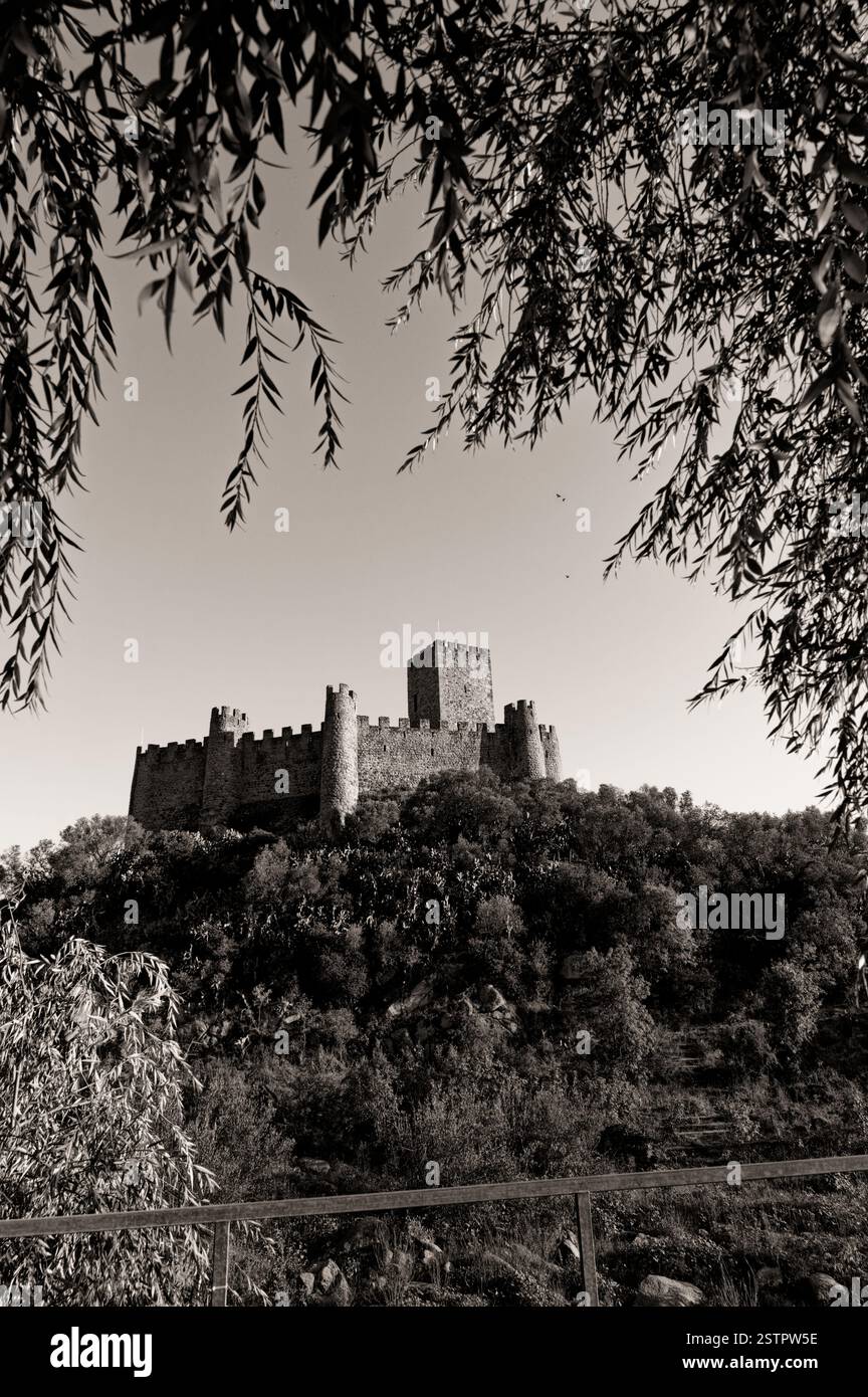 Schloss Almourol in Schwarz-weiß, eingerahmt von überhängenden Zweigen, die eine zeitlose mittelalterliche Atmosphäre hervorrufen Stockfoto