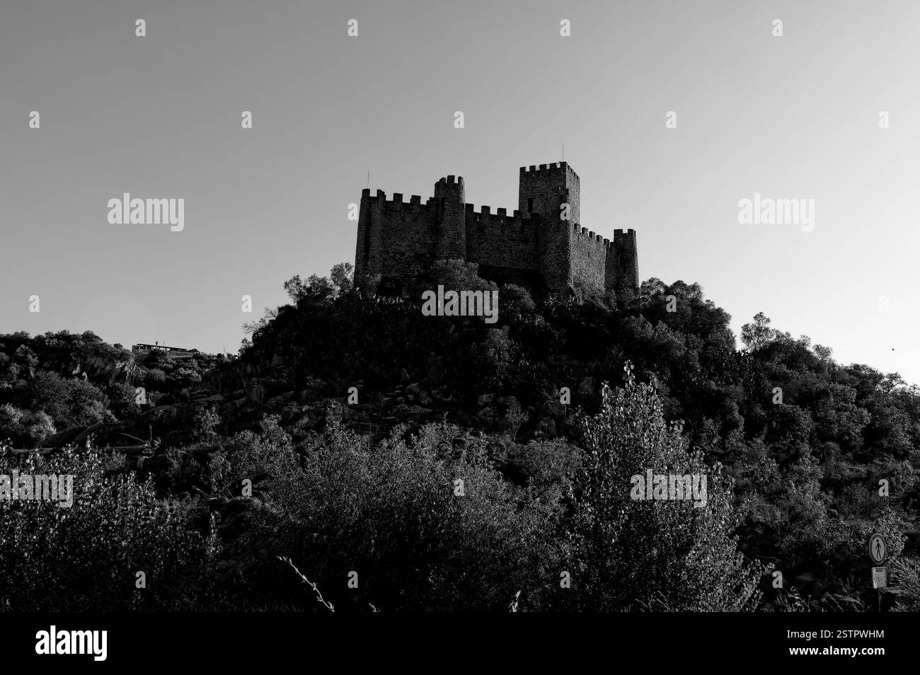 Schwarz-weiß Blick auf das Schloss Almourol, das auf einem felsigen Hügel thront und von dichter Vegetation umgeben ist Stockfoto