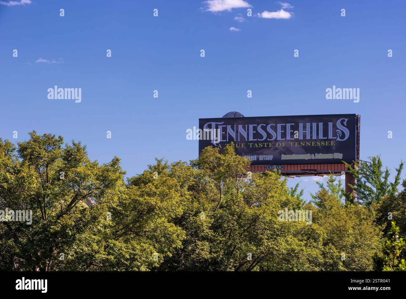 Johnson City, Tennessee, USA – 7. Juni 2024: Die Tennessee Hills Brewstillery seufzt über den Bäumen im Founders Day Park in der Innenstadt. Stockfoto