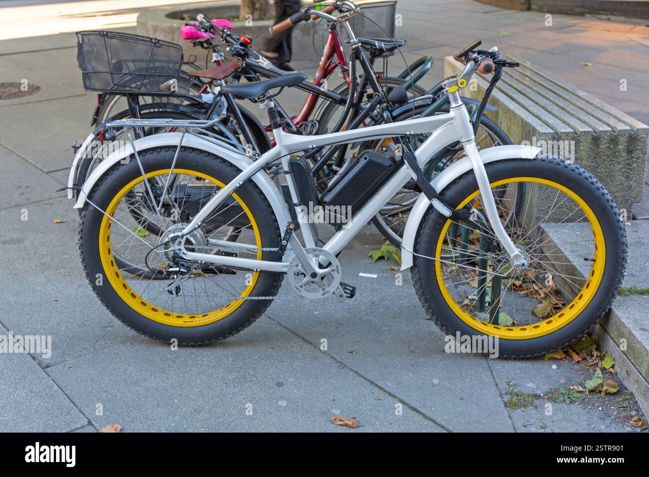 Fat Reifen Elektrofahrrad Stockfoto