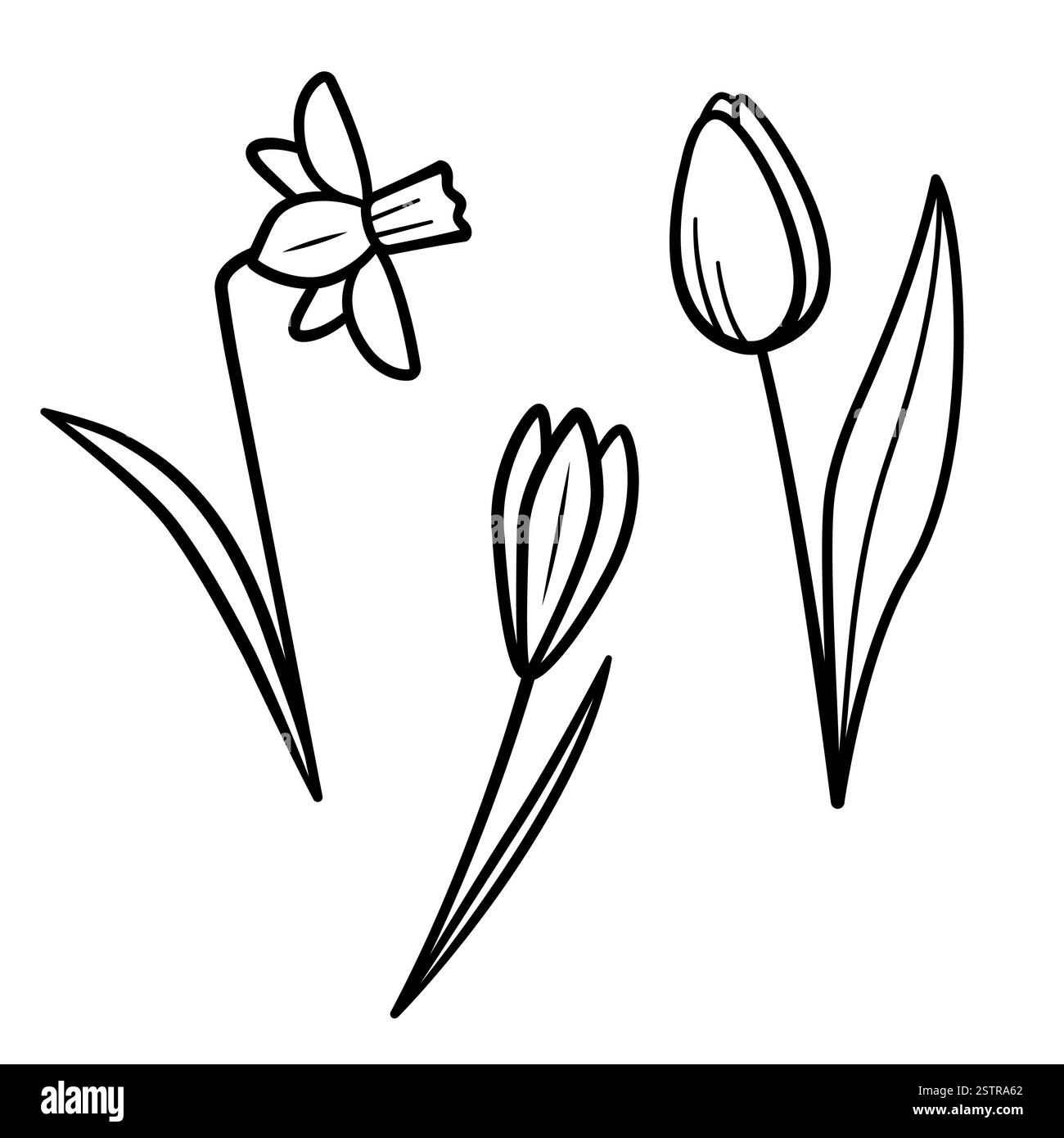 Frühlingsblumen Set. Handgezeichnete Skizziersymbole von Tulpe, Narzissen, Krokus. Isolierte Vektorillustration im Doodle-Line-Stil. Stock Vektor
