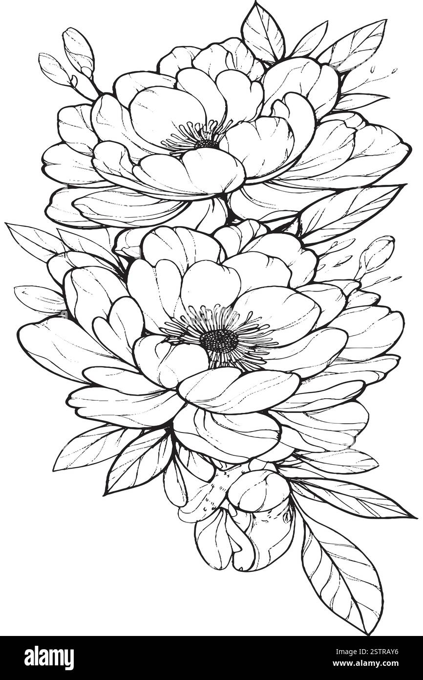 Handgezeichnetes Arrangement von Rosenblumen, detaillierte Illustration von Rosen für Kleidung, Wohnkultur, Karten und Vorlagen, Schrottbuchung, Postkarten Stock Vektor