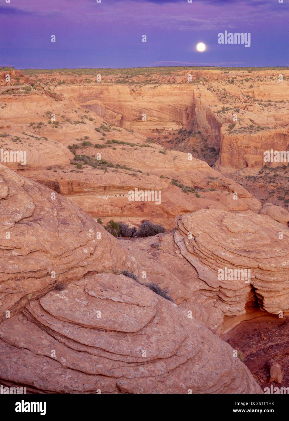 Der Mond erhebt sich über dem Rand des Canyon de Chelly National Monument in der nördlichen Wüste Arizonas. Stockfoto