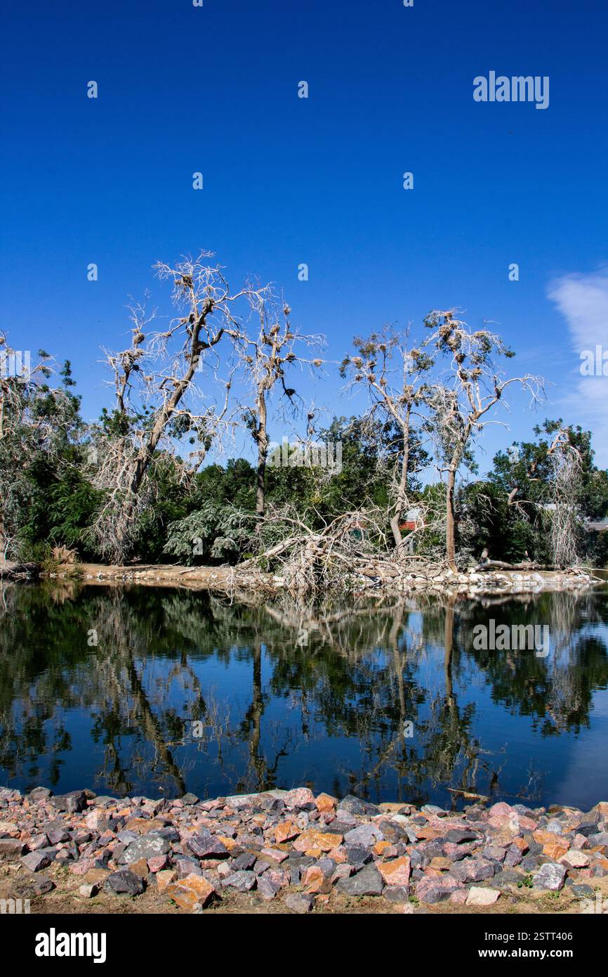 Ein landschaftlich schöner Gartengang mit lebhaftem Laub, der eine harmonische Mischung aus strukturierter Landschaft und wildem Grün schafft. Stockfoto