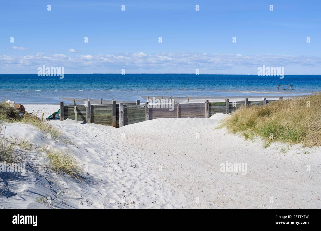 Laesoe, Dänemark: Zugang zum Strand mit Holzsandzaun in Vesteroe Havn an einem sonnigen Tag im April Stockfoto