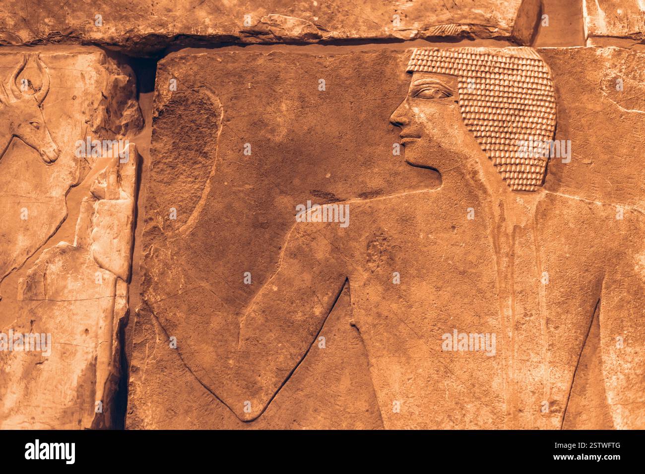 Menschliche Figur, die auf Sandsteinwand aus dem alten Ägypten geschnitzt wurde Stockfoto