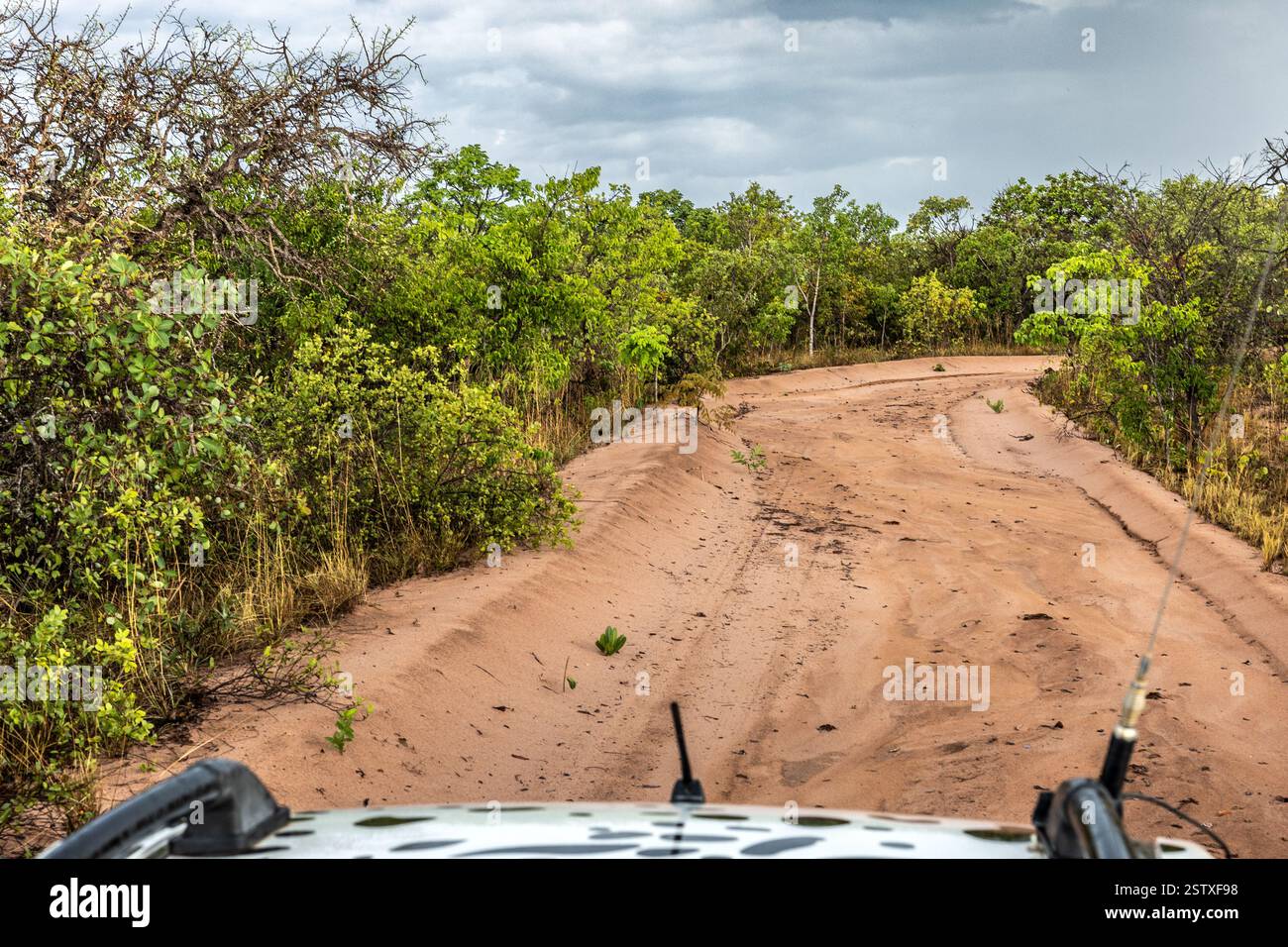 Fahren Sie auf der Strecke im Touristenwagen, in der Nähe des Grande Sertao Veredas Nationalparks, Cerrado, Brasilien Savannah, Brasilien Stockfoto