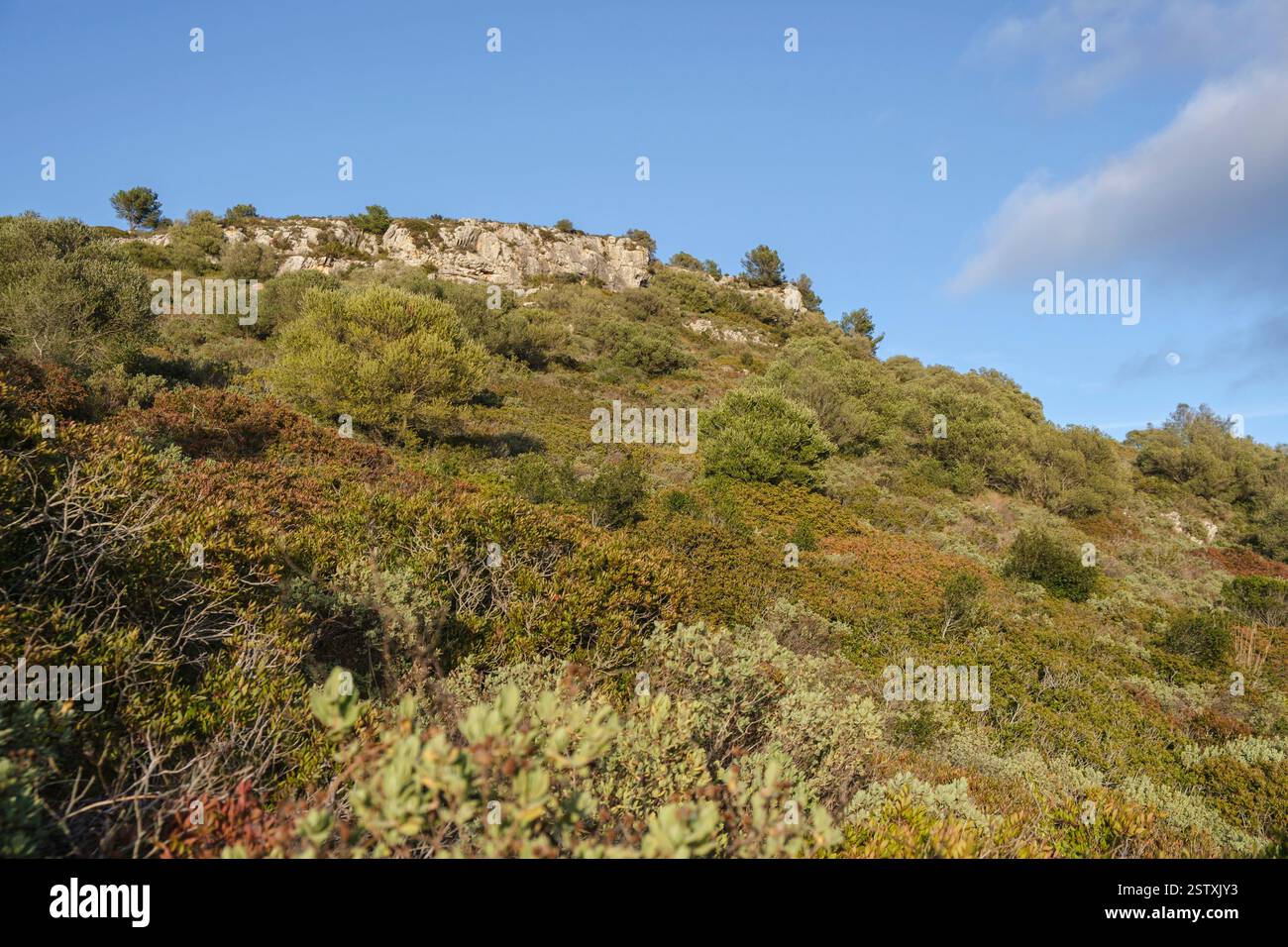 Mediterranes Peeling Stockfoto