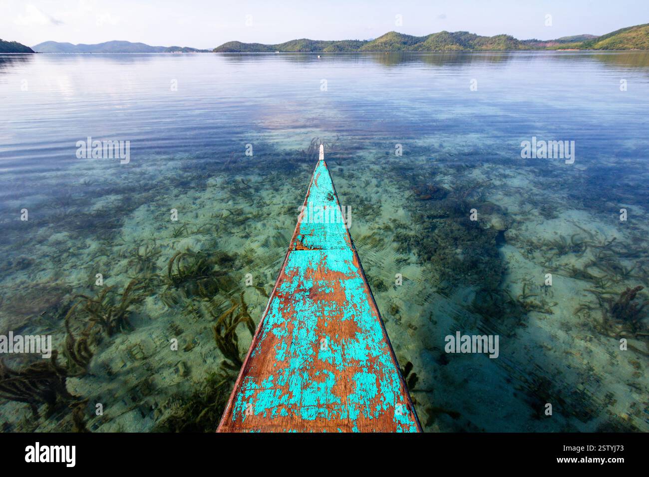 Banca schwimmt auf klarem Flachwasser mit sichtbaren Korallen an einem beliebten Tauchplatz in Busuanga, Philippinen Stockfoto