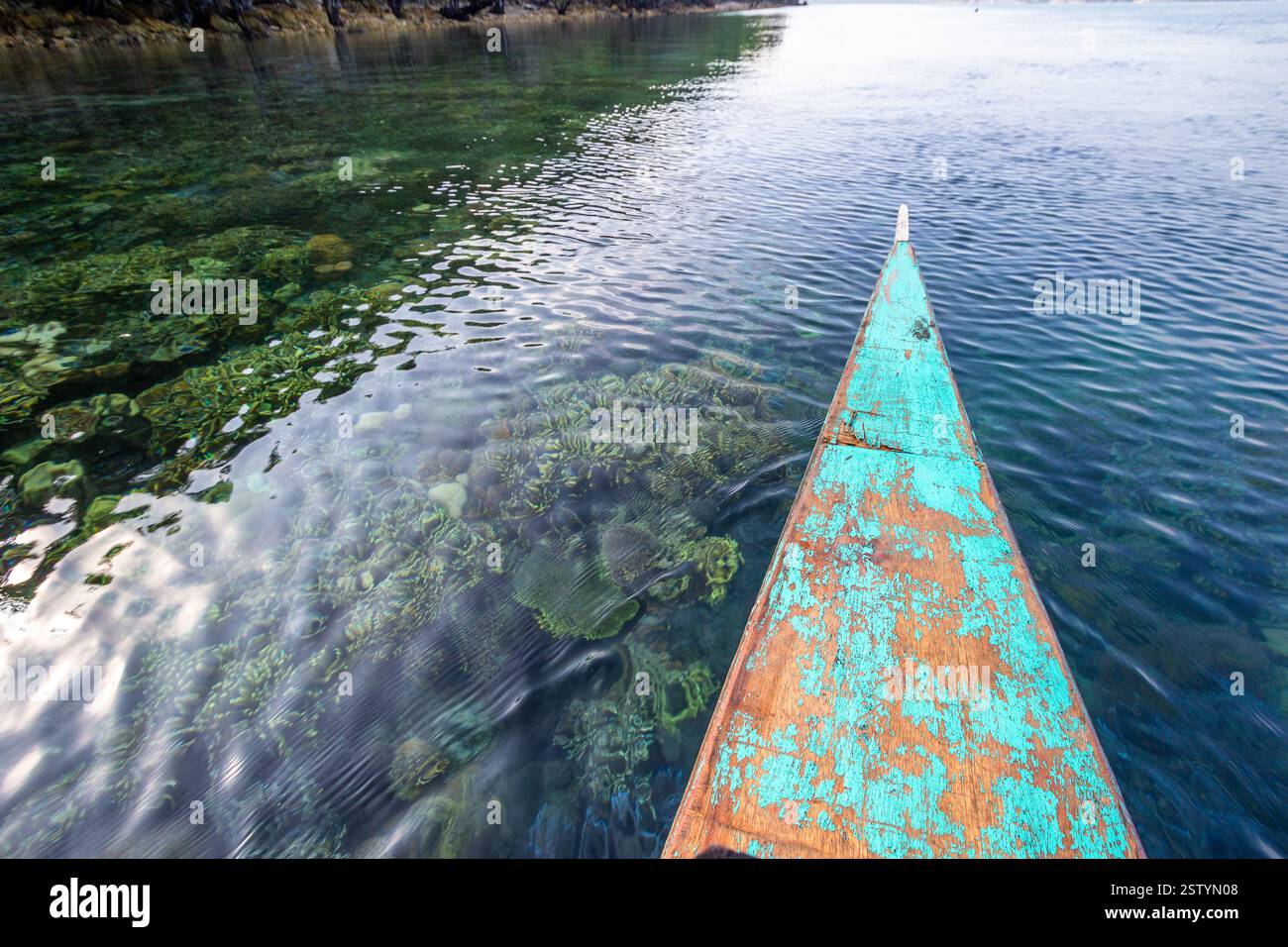 Banca schwimmt auf klarem Flachwasser mit sichtbaren Korallen an einem beliebten Tauchplatz in Busuanga, Philippinen Stockfoto