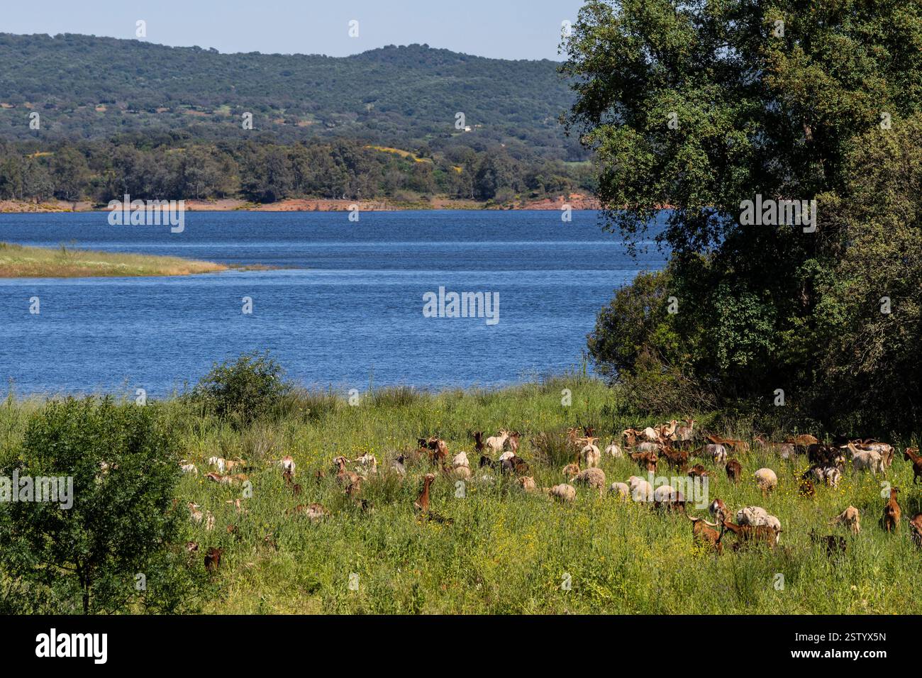 Retortillo-Reservoir Stockfoto Retortillo-Reservoir Stockfoto