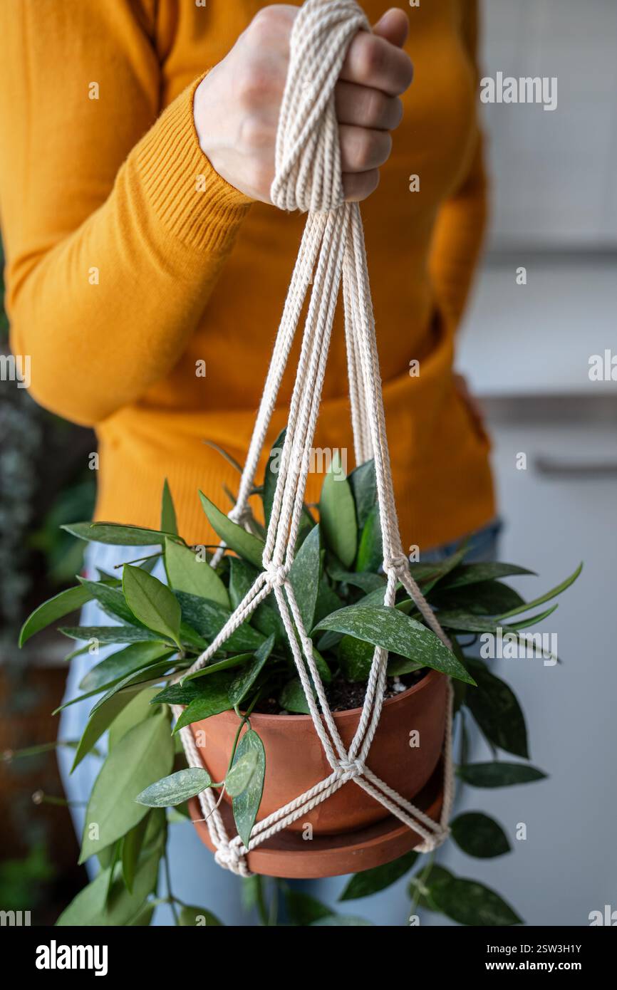 Frau, die Makramee-Pflanzenbügel mit Hoya gracilis im Topf hält. Handgemachtes Hobby zu Hause Stockfoto