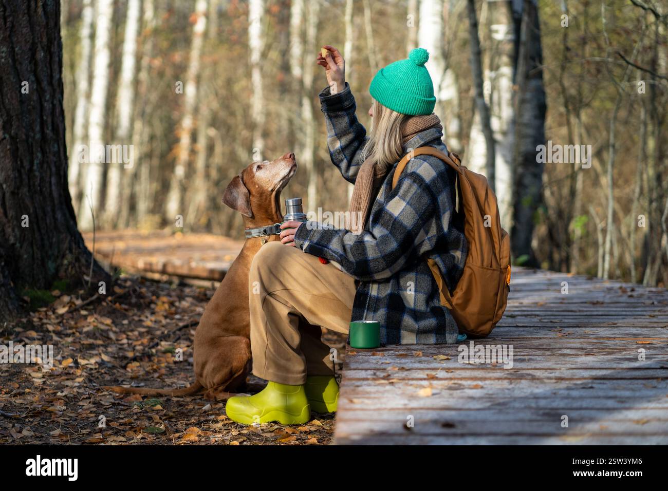 Fröhliche Frau und Hund, die Spaß im Herbstwald haben und sich am september oktober Nachmittag im Freien entspannen. Stockfoto