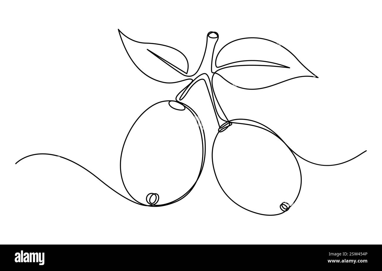 Durchgehende einzeilige Art von Jamun Fruit Stock Vektor