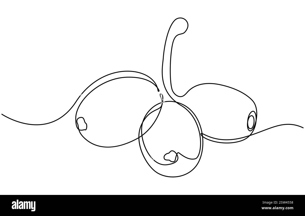 Durchgehende einzeilige Art von Jamun Fruit Stock Vektor