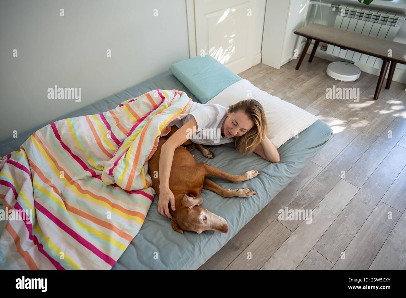 Positive, langsame Morgenroutine des liebevollen Tierbesitzers einer lächelnden Frau, die im Bett aufwacht und einen Hund streichelt. Stockfoto