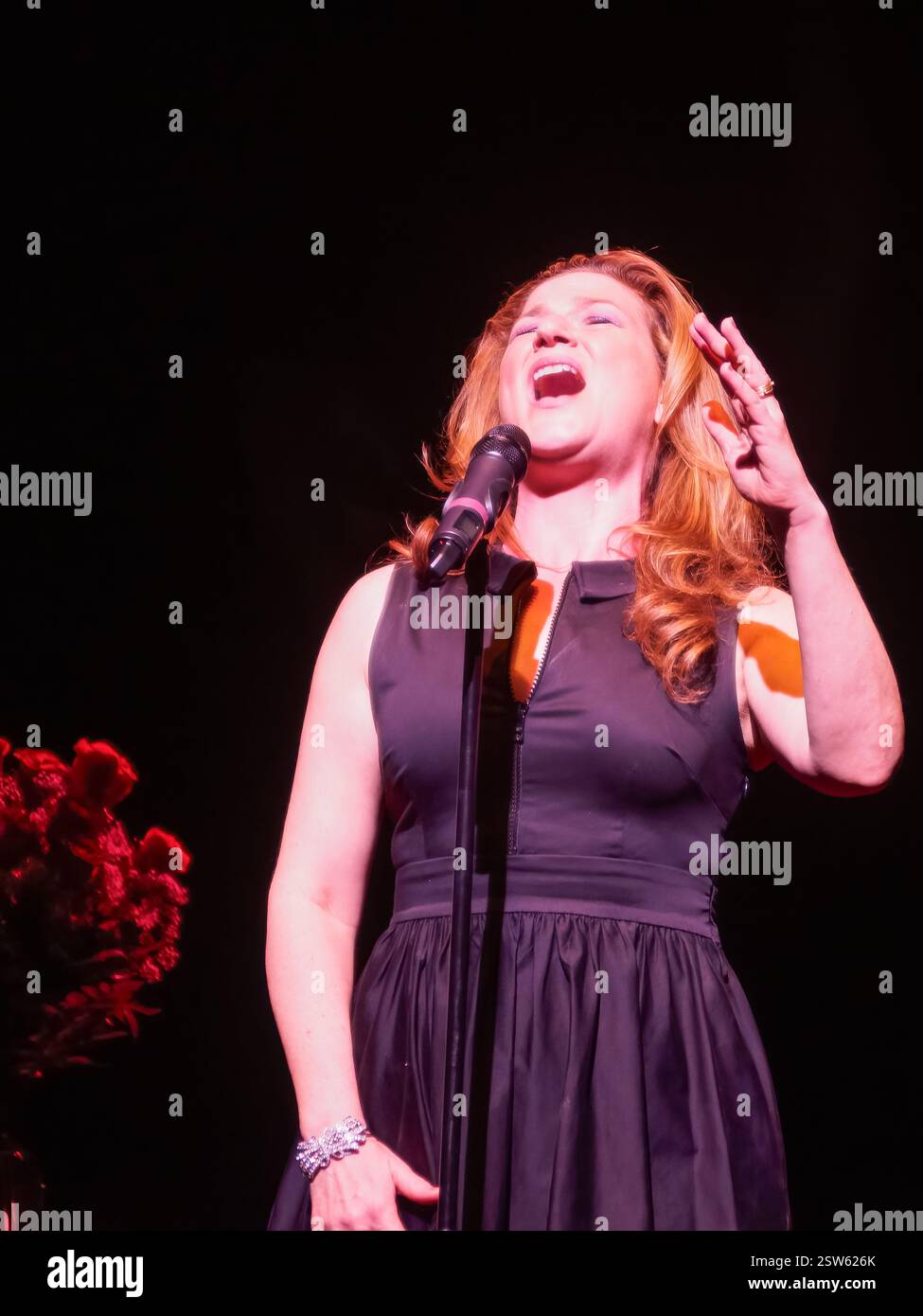 New Orleans, LA, USA - 28. März 2015: ANA Gasteyer, Saturday Night Live Alumnus, präsentiert ein Lied in einem New Orleans Center for Creative Arts (NOCCA) Benefit Stockfoto
