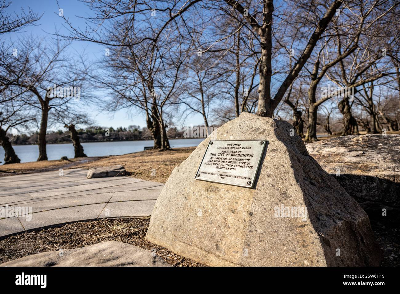 WASHINGTON DC – Eine Gedenktafel am Ufer des Gezeitenbeckens markiert den Ort, an dem die ersten japanischen Kirschbäume, ein Geschenk der Stadt Tokio, am 27. März 1912 gepflanzt wurden. Die Steinmarkierung weist darauf hin, dass die Bäume eine „Geste der Freundschaft und des guten Willens“ waren und 1950 von der National Capital Sesquicentennial Commission installiert wurden. Die umliegenden Bäume werden hier vor ihrer jährlichen Frühlingsblüte gezeigt. Stockfoto