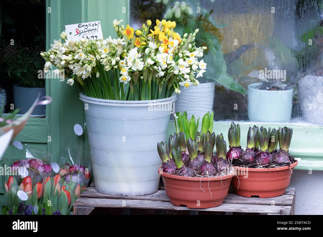 Bristol, Großbritannien. Eine Auswahl an Frühlingsblumen, die vor einem Blumengeschäft angeordnet sind. Die Ausstellungen umfassen englische Narzissen, Narzissen. Stockfoto