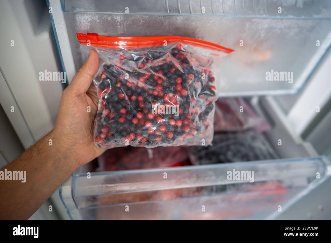 Mann Hand nimmt gefrorene Preiselbeere, Heidelbeermischung in Beutel aus dem Gefrierschrank. Vorräte für den Winter, Diät Stockfoto